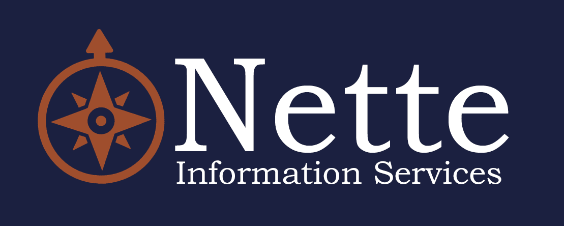 Nette Info Services Logo